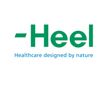 Heel